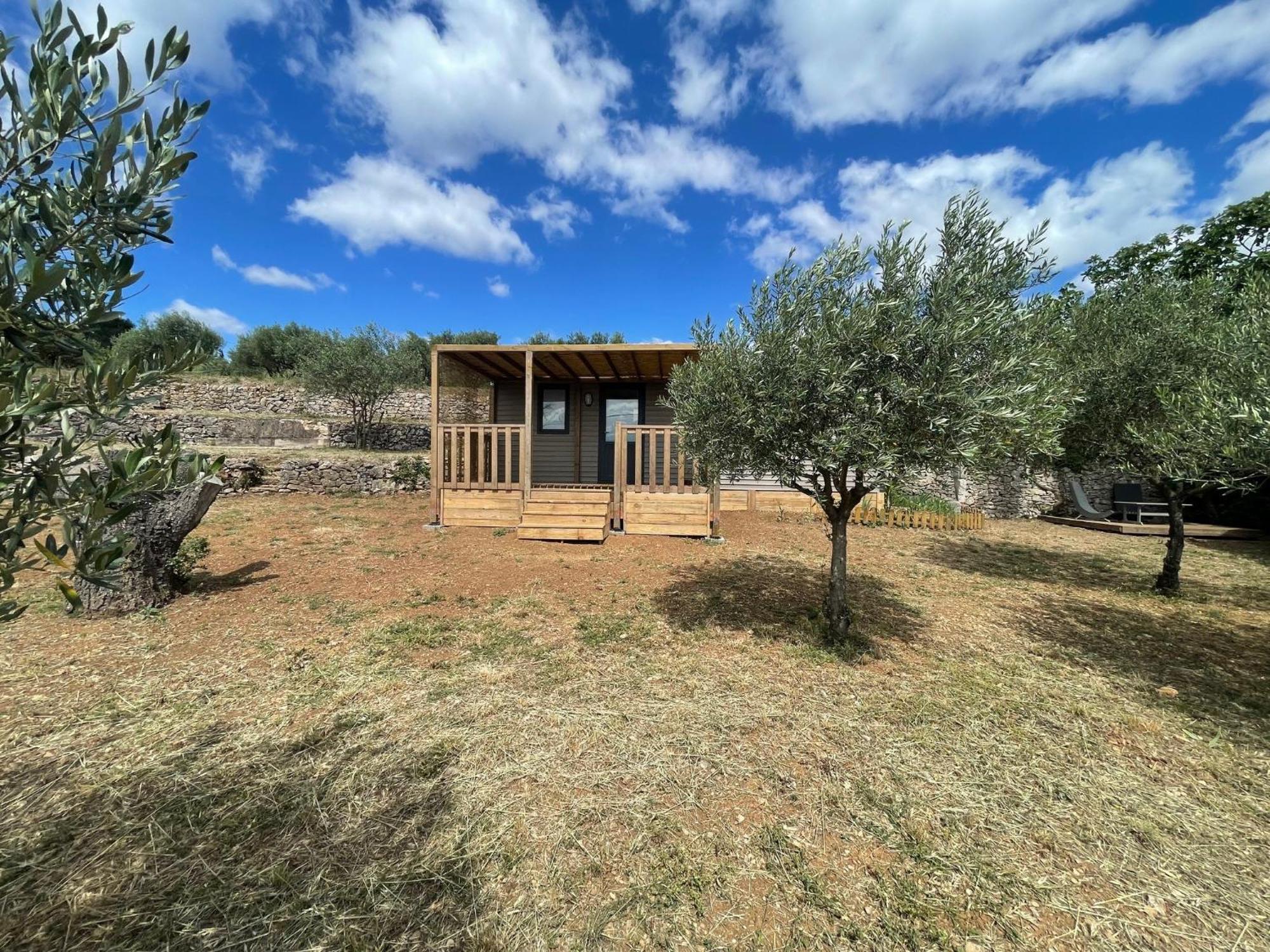 Mobil-Home En Pleine Nature A 3 Mins Du Lac Du Salagou Avec Vue Panoramique Lacoste  Εξωτερικό φωτογραφία